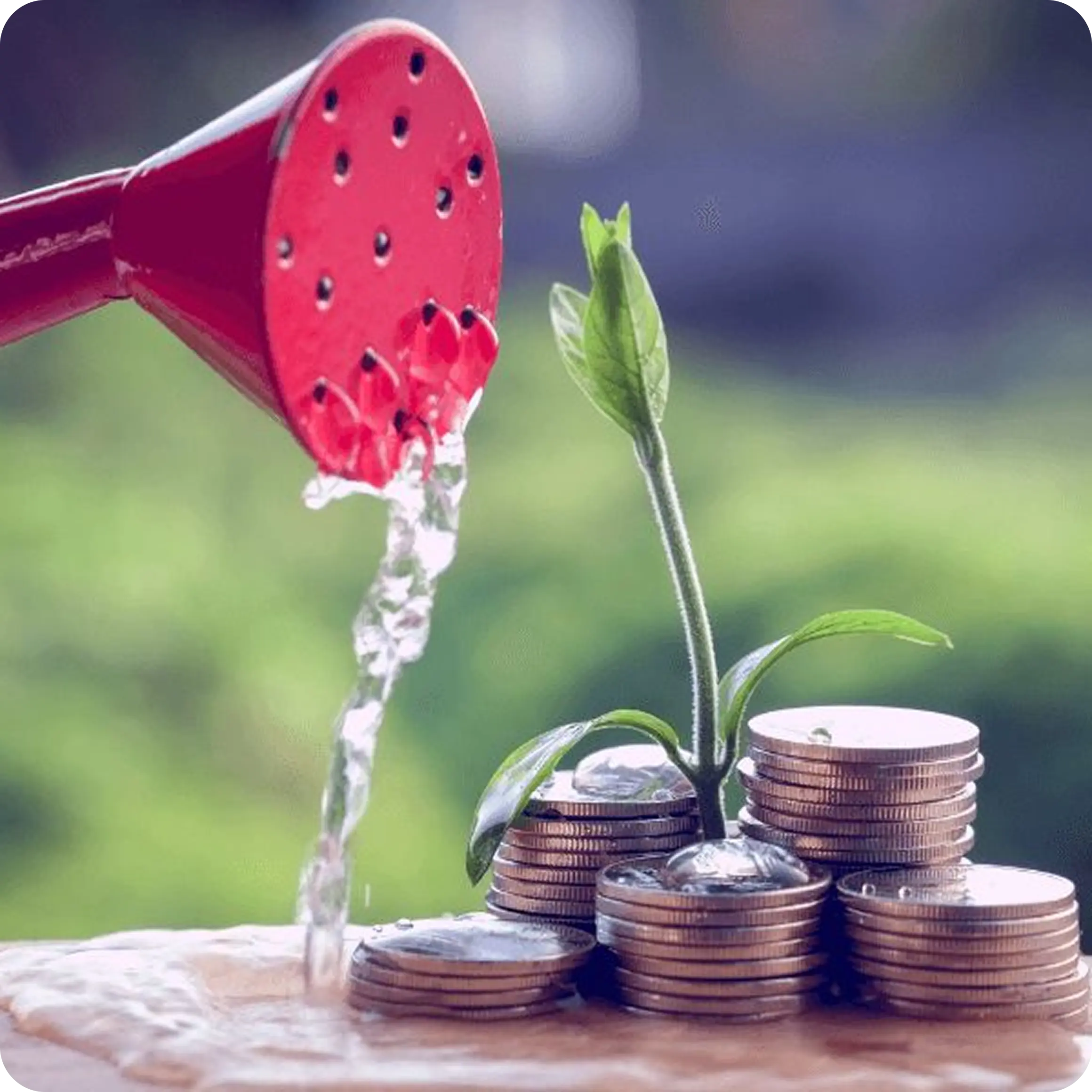 image of funds