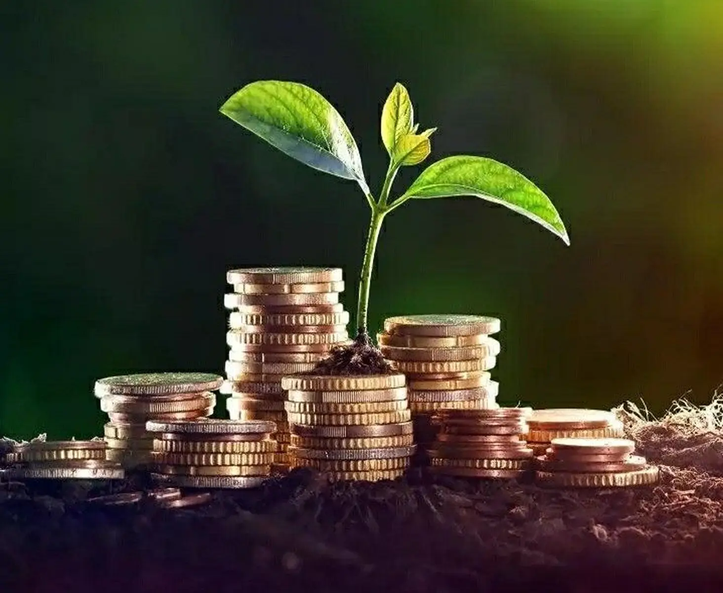 Farm Fund image