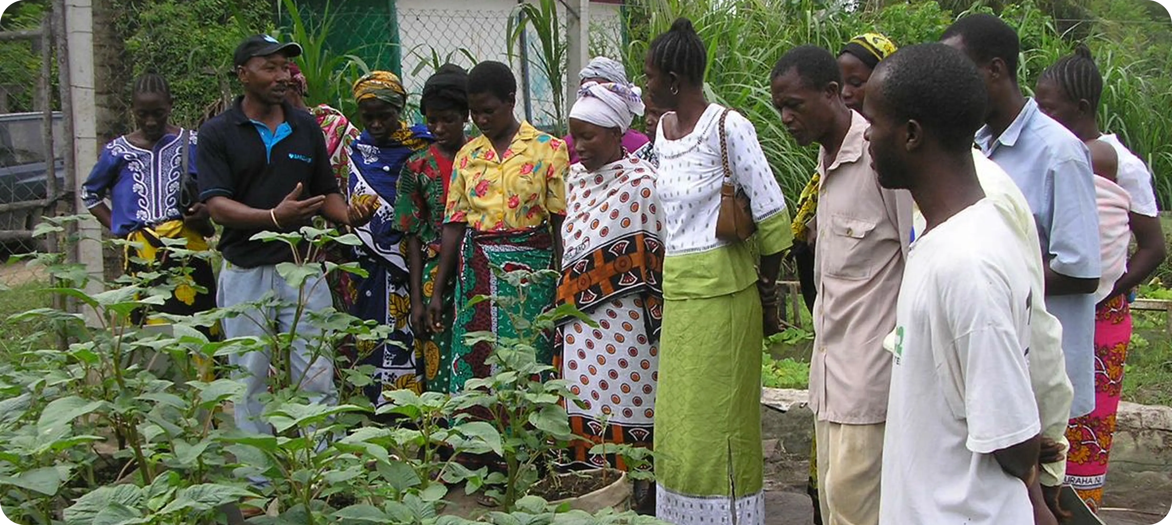 educating farmers